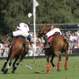Polo, Commercial Wedding Photographers: Photoscience.co.uk